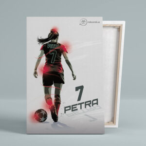Dárek pro sportovkyni · Obraz