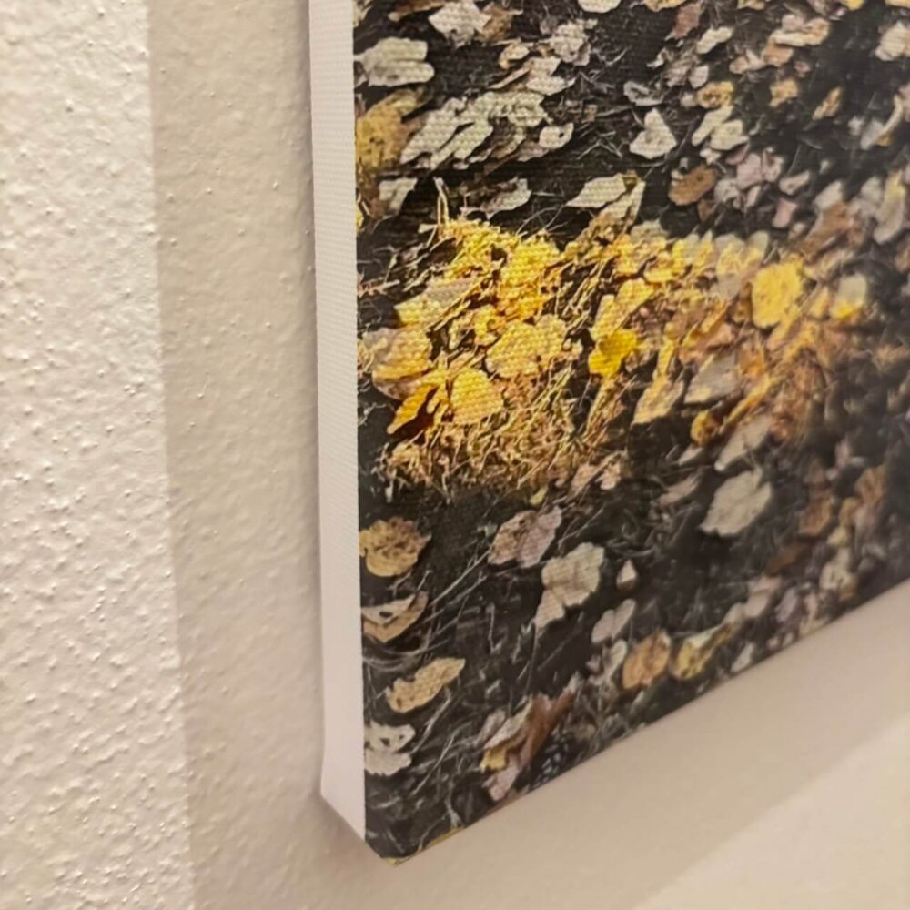 Fotoplátno • Vlastní fotografie na plátně - Obrázek 9