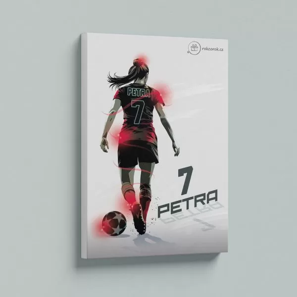 Dárek pro sportovkyni · Obraz
